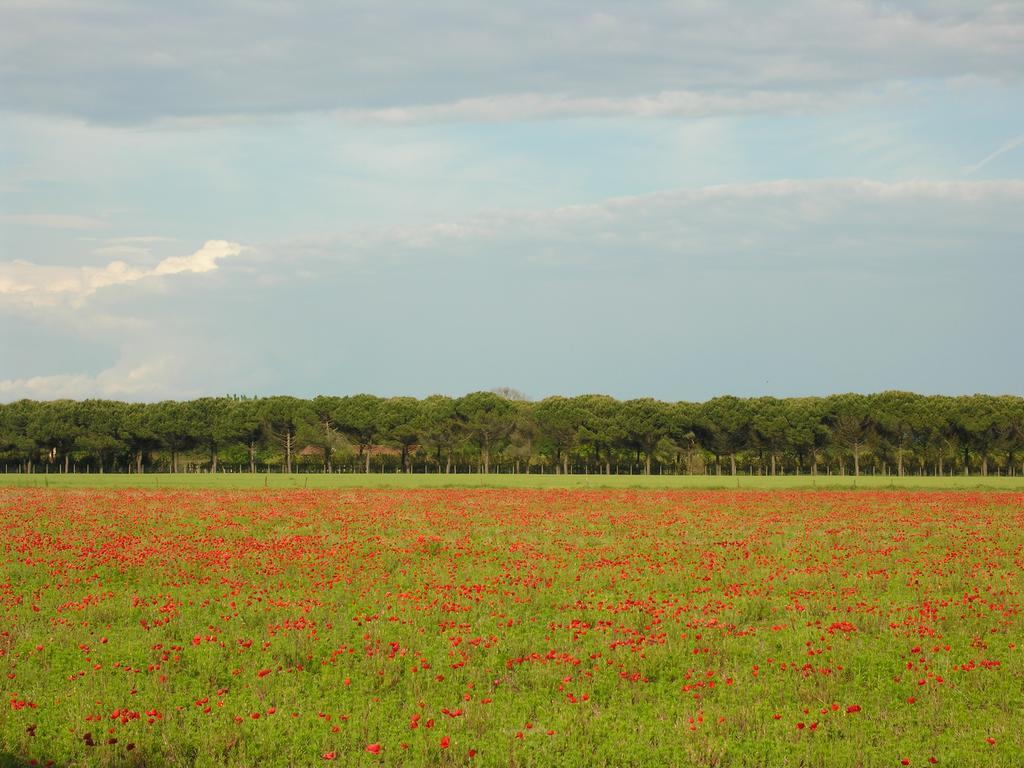Appartamenti Alaska Bibione Exterior foto